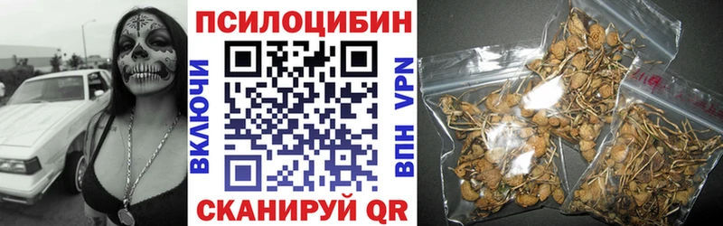 Галлюциногенные грибы MAGIC MUSHROOMS  Купить  Пыталово 