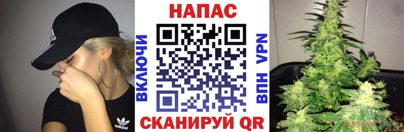 Купить  Пыталово  Каннабис планчик 